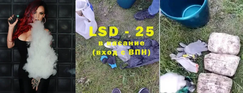 где найти наркотики  Лесной  LSD-25 экстази кислота 